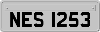 NES1253