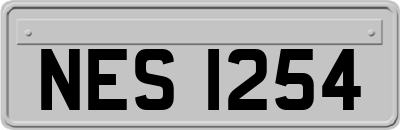 NES1254