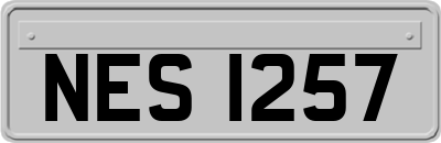 NES1257