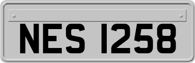 NES1258