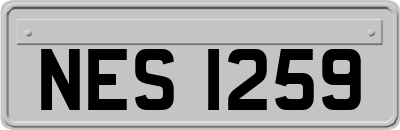 NES1259