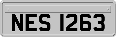 NES1263