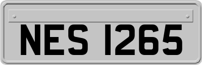 NES1265