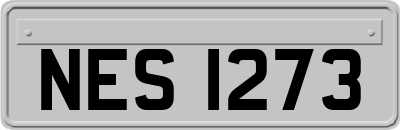 NES1273