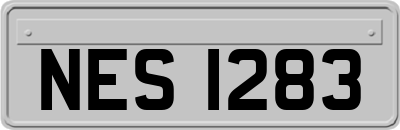 NES1283