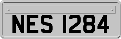 NES1284