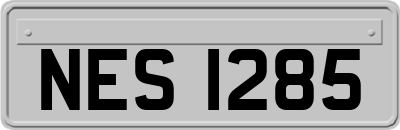 NES1285