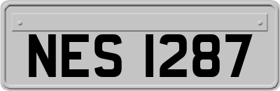 NES1287