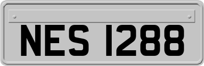 NES1288