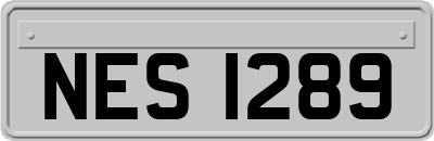 NES1289