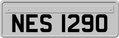 NES1290