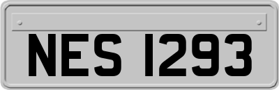 NES1293