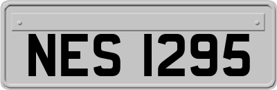 NES1295