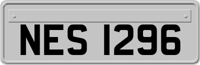 NES1296