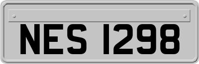 NES1298