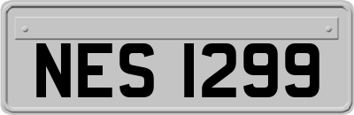 NES1299