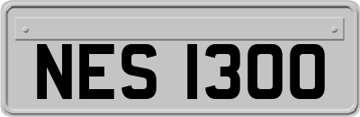 NES1300