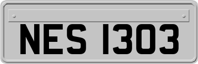 NES1303