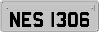 NES1306