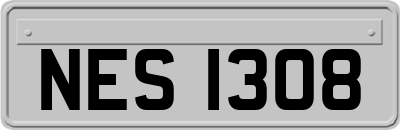 NES1308