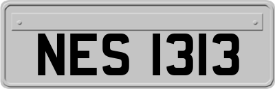 NES1313