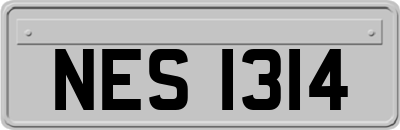 NES1314