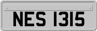 NES1315