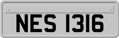 NES1316