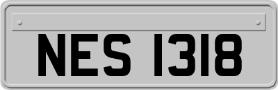 NES1318