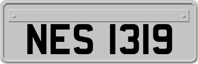 NES1319