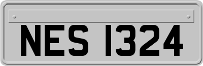 NES1324