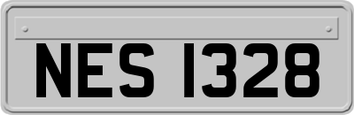 NES1328