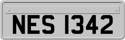 NES1342