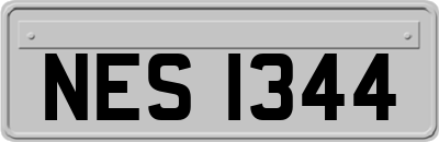 NES1344