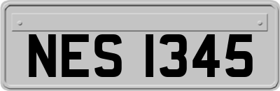 NES1345