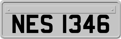 NES1346