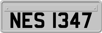 NES1347