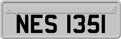 NES1351