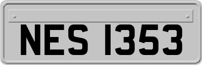 NES1353