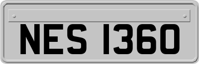 NES1360