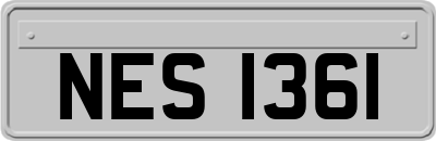 NES1361