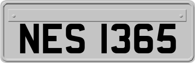 NES1365