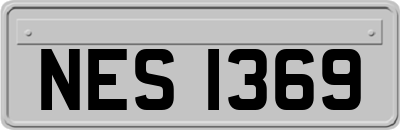 NES1369