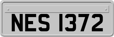 NES1372