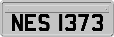 NES1373