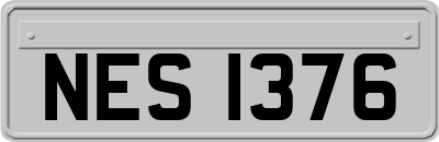 NES1376