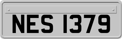 NES1379