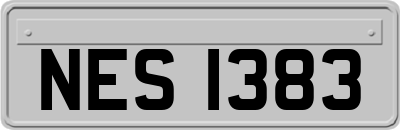 NES1383