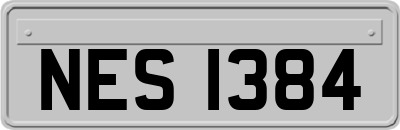 NES1384