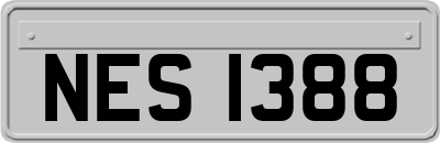 NES1388